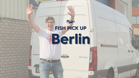 Japanese Fish Pick-up in Berlin. July 18 (Sat), 2026