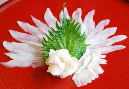 ヒラメの刺身