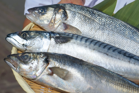 北海水産のお魚